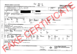 gefaelschte-zeugnisse_220718_certificate-n439584-002-1-2